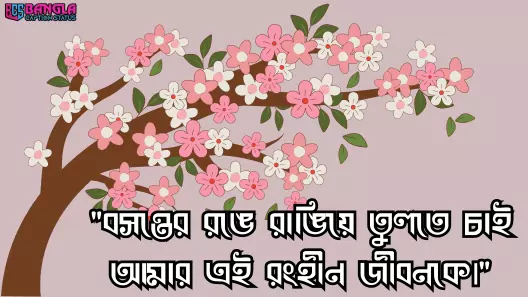 বসন্ত নিয়ে ক্যাপশন