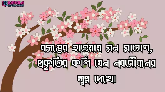 বসন্ত নিয়ে ক্যাপশন
