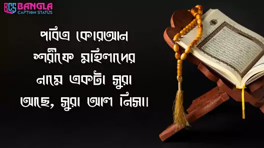 ইসলামিক স্ট্যাটাস পিকচার