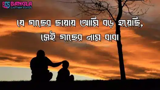 বাবাকে নিয়ে স্ট্যাটাস