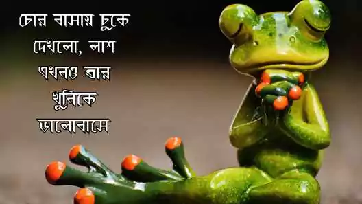মজার স্ট্যাটাস
