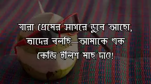 সেইরাম মজার funny status bangla