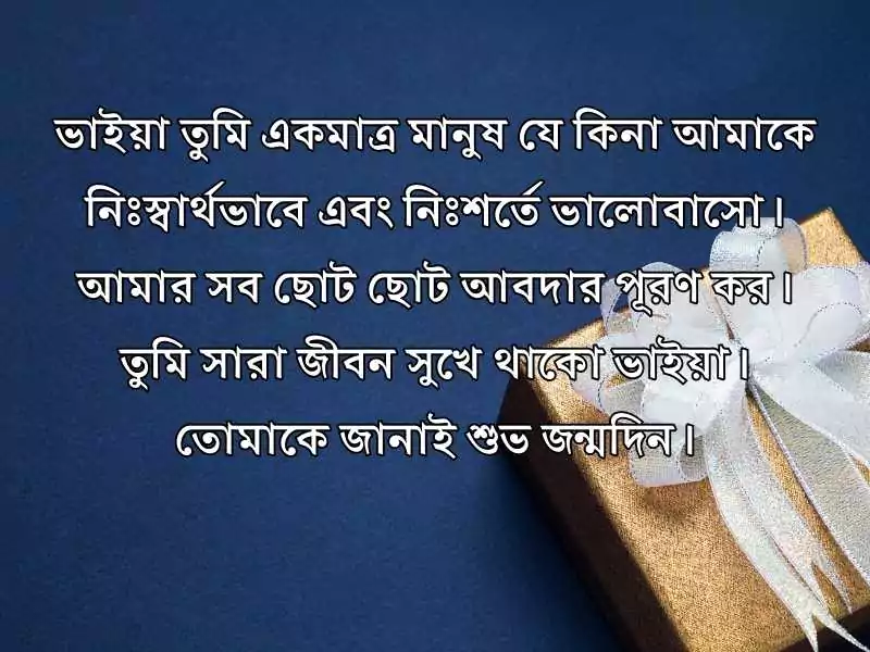ভাইয়ের জন্মদিনের শুভেচ্ছা