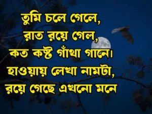 রাত নিয়ে স্ট্যাটাস