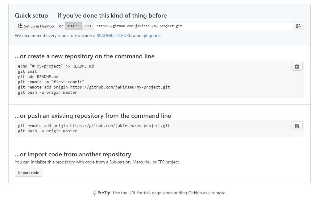 git push command